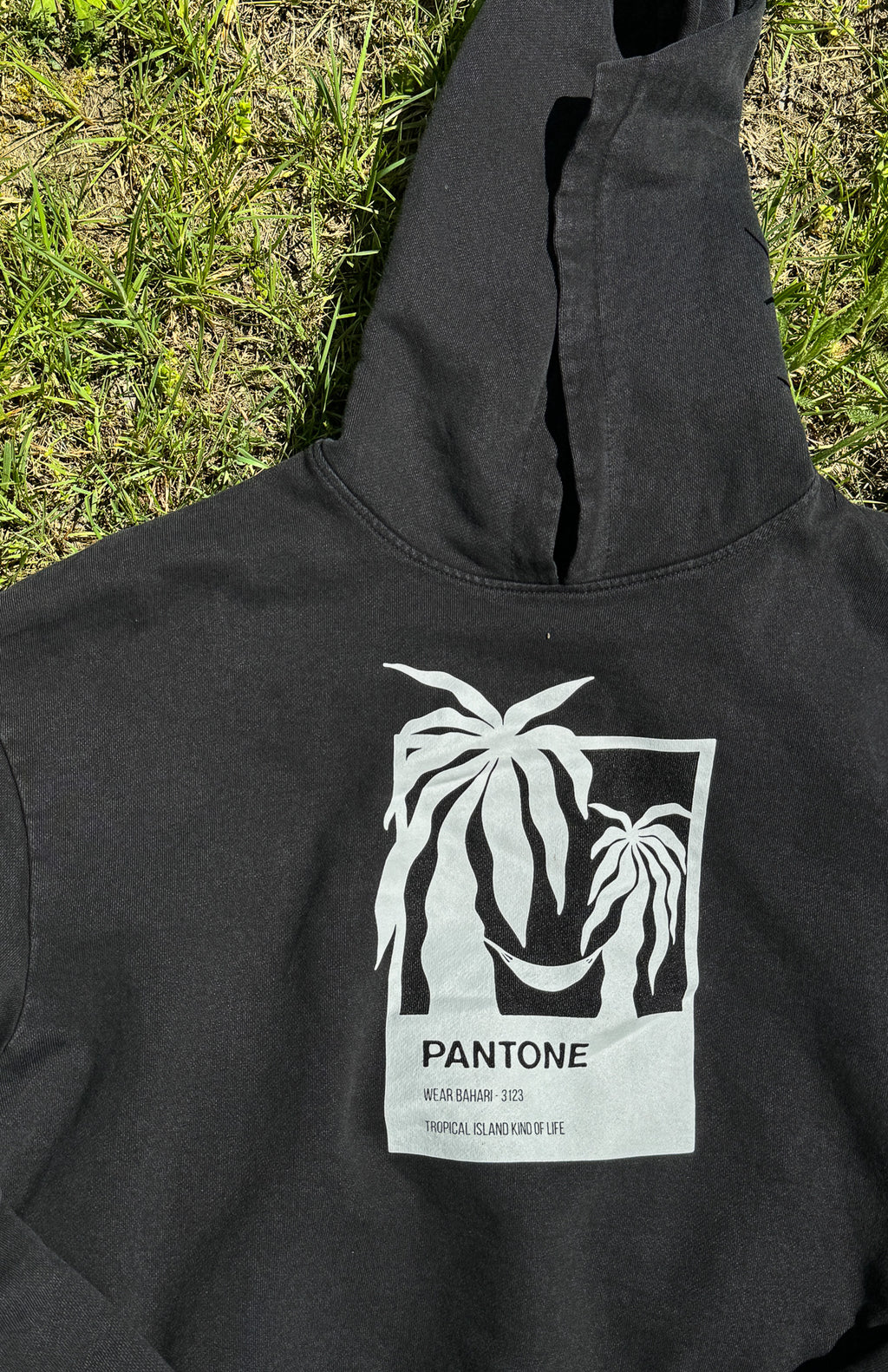 Pantone Unisex Hoodie
